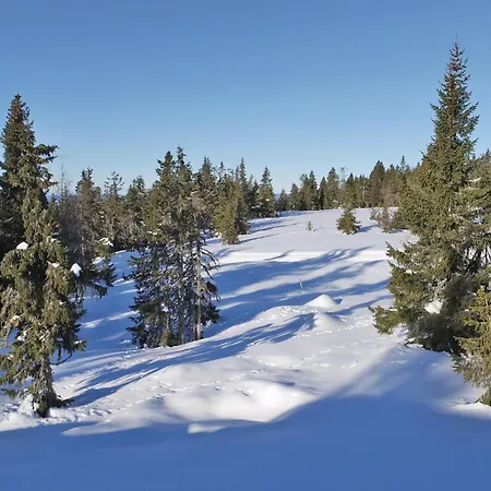 Gorgeous In With Sauna Holiday home Sjusjoen